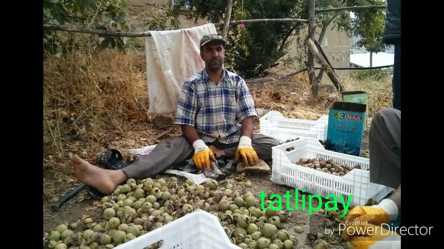 Tatlıpayam Köyünden özel görüntüler