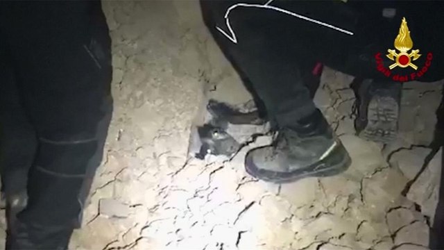 Землетрясение в Италии: собаку спасли из под завалов