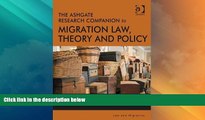 Big Deals  The Ashgate Research Companion to Migration Law, Theory and Policy (Law and Migration)
