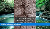 Big Deals  A Global History of Indigenous Peoples: Struggle and Survival  Best Seller Books Most