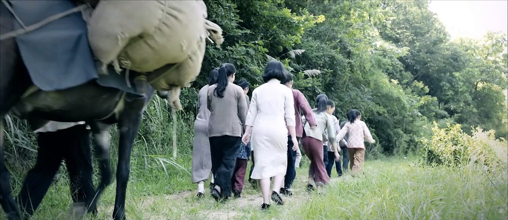2016电影《雏鸟的天空》主演: 李凤绪 / 杨小米 / 李金哲 / 邱禹程 / 毛韩奕
