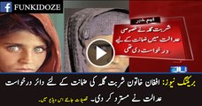 Court rejects Sharbat Gula bail application