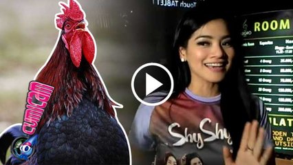 Jempol Kaki Titi Kamal Dipatuk Ayam - Cumicam 02 November 2016