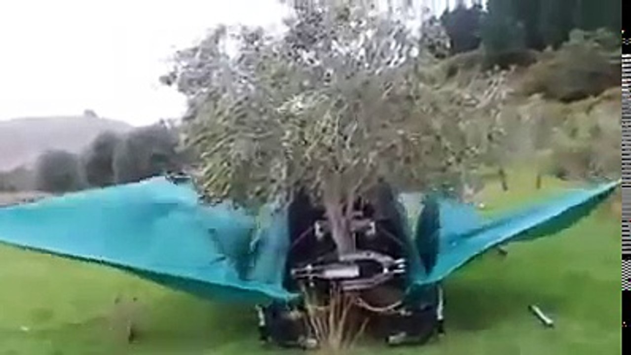 کیا ٹیکنالوجی ہے پھلوں کو محفوظ اتارنے کی