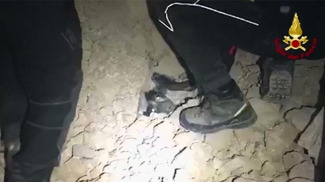 İtalya'da enkaz yığınları arasından bir köpeğin kurtarılma anı