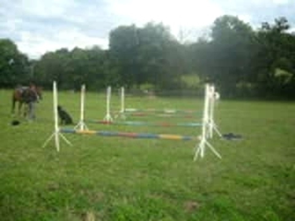 entraînement de saut