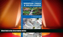 Big Deals  Missouri Trees   Wildflowers: A Folding Pocket Guide to Familiar Species (Pocket