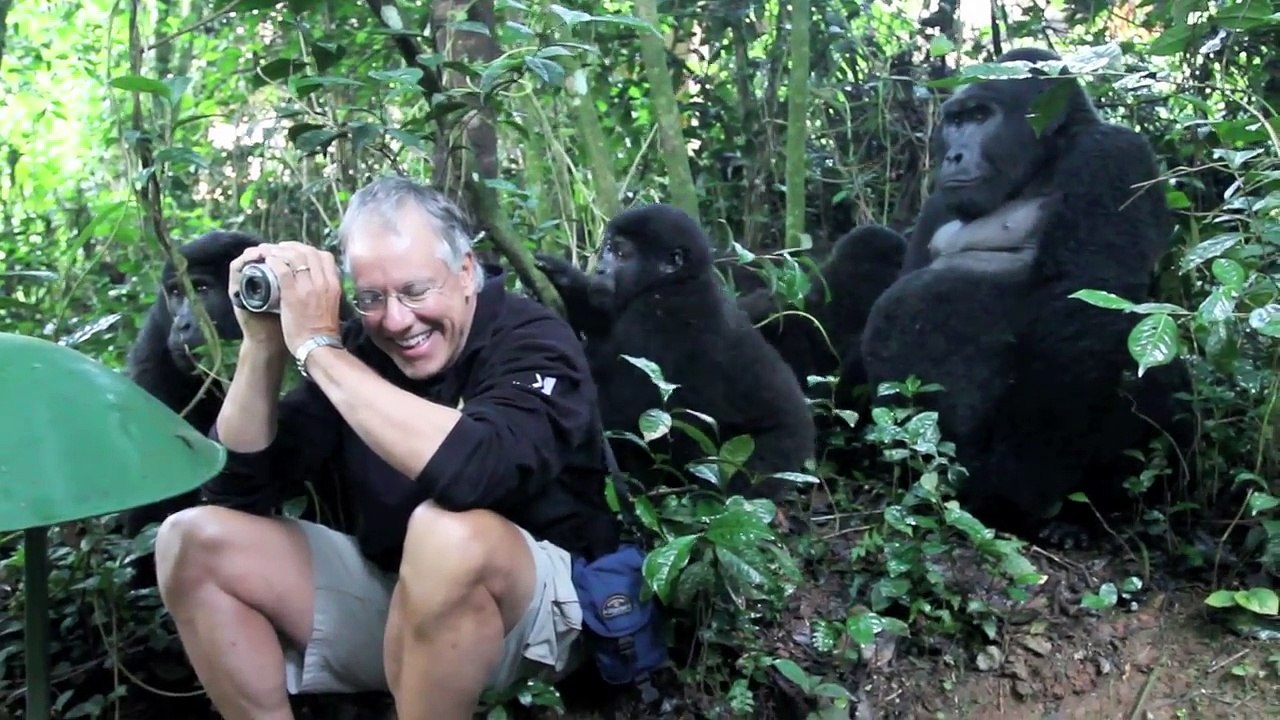 Il prenait des photos et finit par se retrouver face à face avec un gorille à dos argenté et sa famille