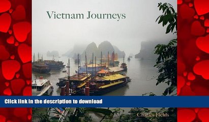 FAVORIT BOOK Vietnam Journeys READ EBOOK