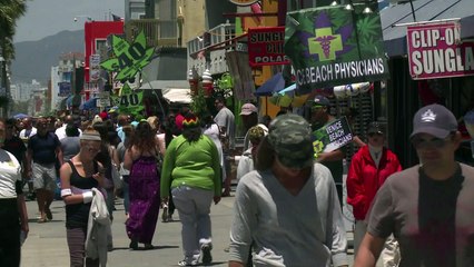 Ruée vers le cannabis en Californie (Novembre 2016) (FR)