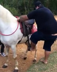 Tenta di montare un cavallo ma è così impacciato che l'animalesuper risate!