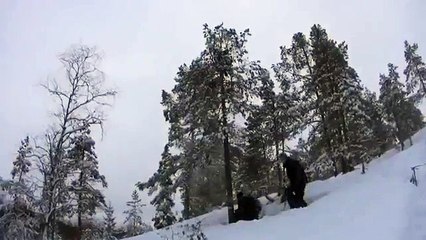 Isveç Ağaç Kesimi