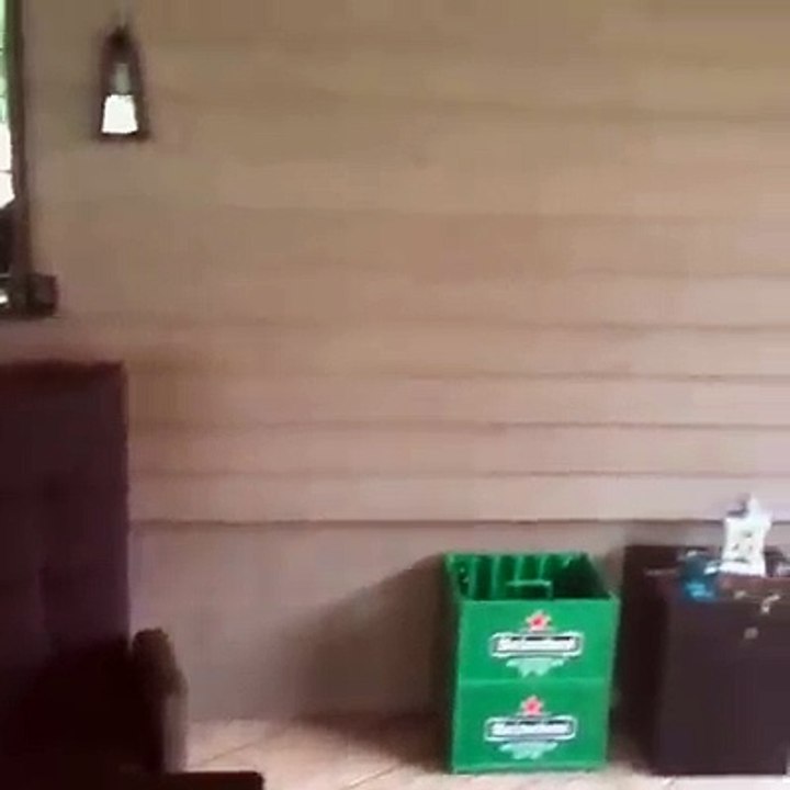 Le birre al sicuro