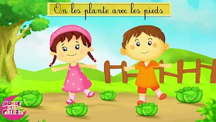 Savez-vous planter les choux