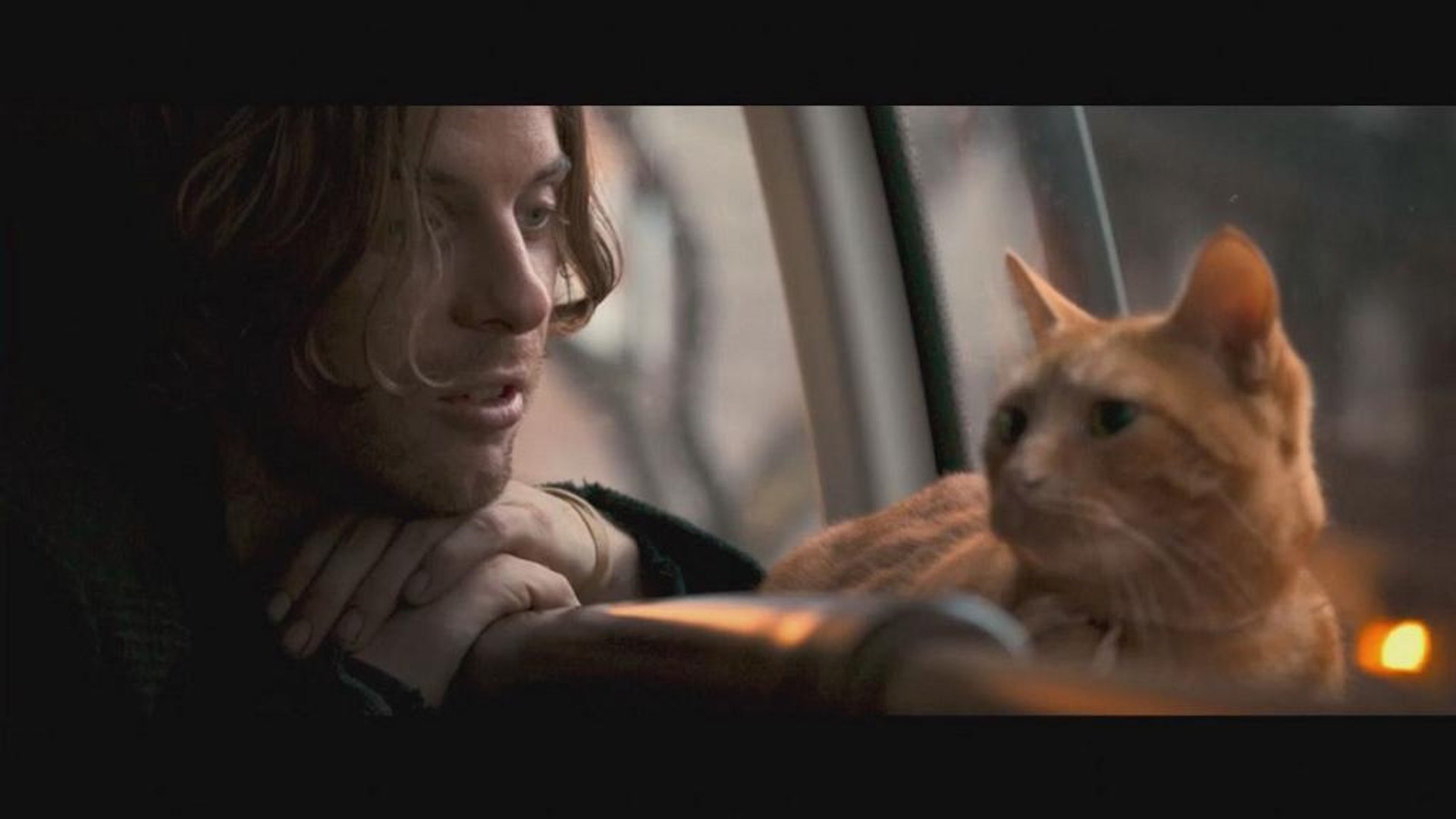 Un Chat Nomme Bob Video Dailymotion