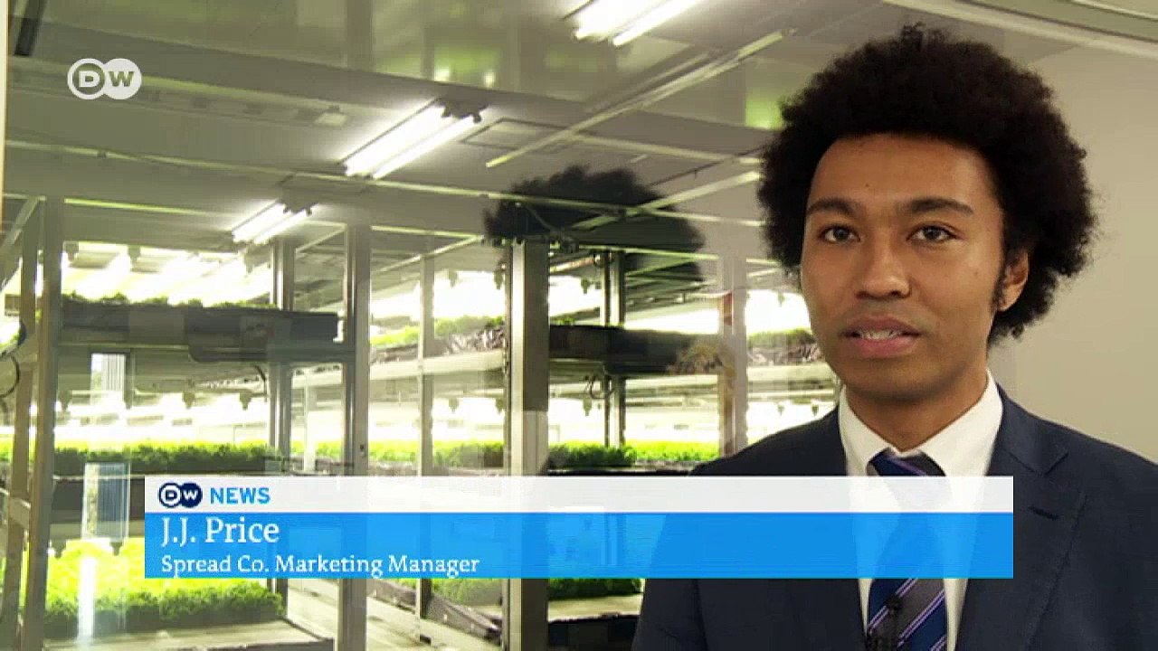 Robots to harvest 30,000 lettuce heads a day | Business