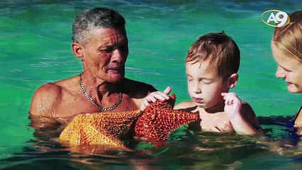 Altın oran ne demek?