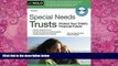 Big Deals  Special Needs Trusts: Protect Your Child s Financial Future (Special Needs Trust: