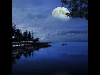 Beethoven - Clair de lune - Op27 N.2 (1st mvt) - By Eric