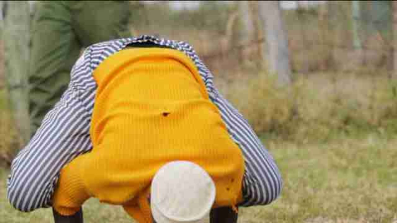 Yoguis con pijamas de rayas