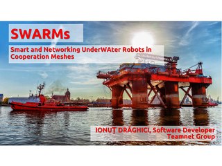 Teamnet International Design and Develop SWARMs Projects