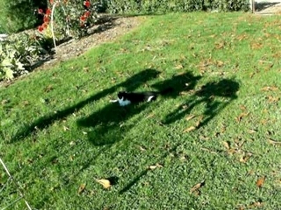 Photo 024