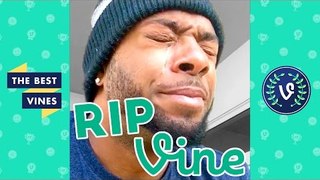 R.I.P. Vine- The Ultimate Farewell Compilation
