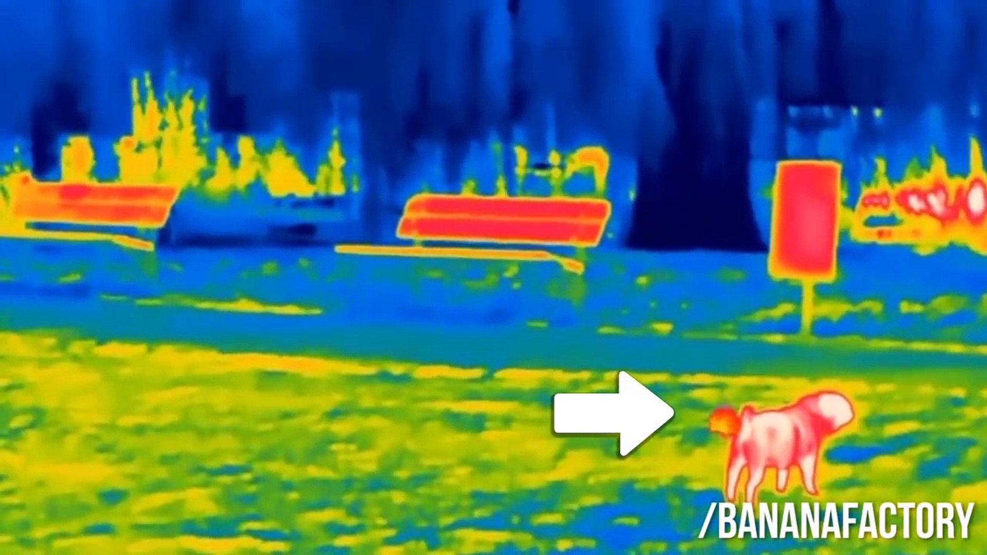 PEOPLE SECRETLY FARTING IN PUBLIC (thermal camera) - video Dailymotion.