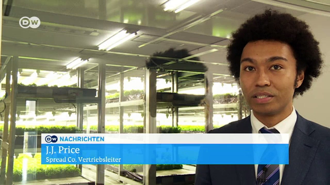 Roboterfarm in Japan züchtet Salat | Wirtschaft