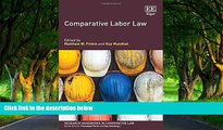 READ NOW  Comparative Labor Law (Research Handbooks in Comparative Law series) (Elgar Original