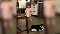 Un chat fait un croche-patte à une petite fille