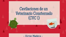 Victor Madera CVC