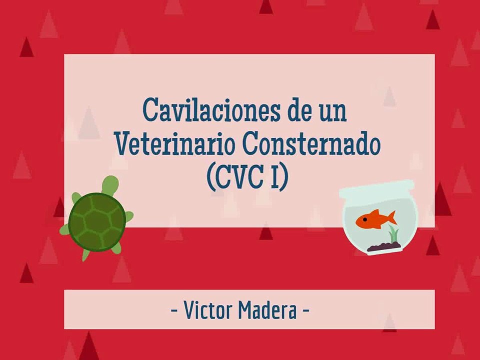 Victor Madera CVC