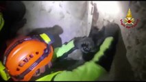 Terremoto a Norcia: cane pugliese salva un altro cane bloccato tra le macerie per 36 ore
