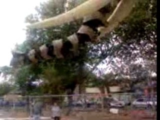 l'île des machines a Nantes