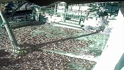 Le séisme en Italie vu depuis les caméras de surveillance