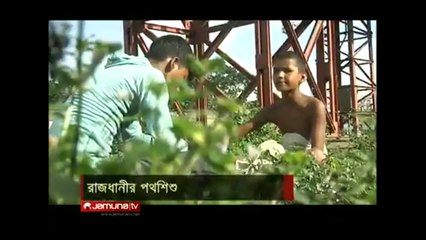 চাল নেই চুলো নেই। নেই মাথা গোঁজার ঠাই।There is no rice stove. There is a roof over his head.