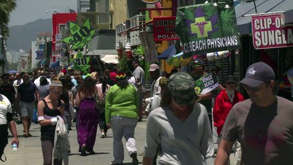 Kalifornien: Cannabis für den Aufschwung