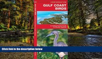 Must Have  Gulf Coast Birds: A Folding Pocket Guide to Familiar Species (Pocket Naturalist Guide