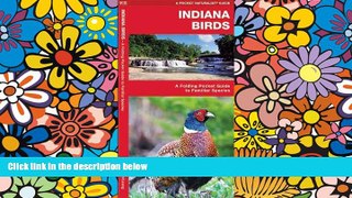 Must Have  Indiana Birds: A Folding Pocket Guide to Familiar Species (Pocket Naturalist Guide