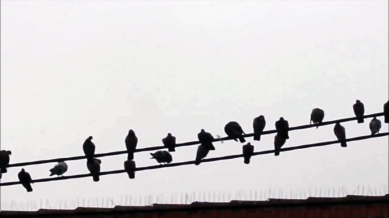 Cigar-shaped UFO over Luleå, Sweden on 09 26 2013