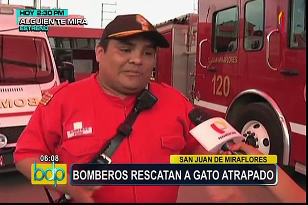 SJM: bomberos rescatan a gato atrapado entre paredes