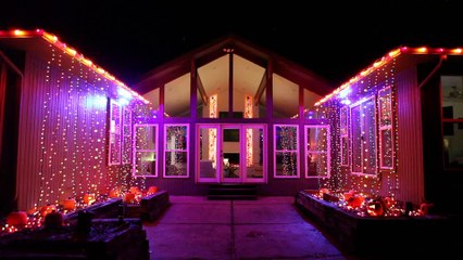 Poetry Adventure's  9th Annual Pumpkin Carving Contest!!