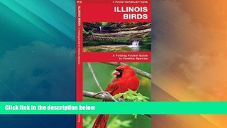 Big Deals  Illinois Birds: A Folding Pocket Guide to Familiar Species (Pocket Naturalist Guide