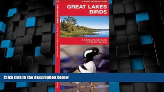 Big Deals  Great Lakes Birds: A Folding Pocket Guide to Familiar Species (Pocket Naturalist Guide