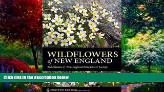 Books to Read  Wildflowers of New England: Timber Press Field Guide (A Timber Press Field Guide)
