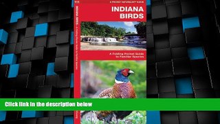 Big Deals  Indiana Birds: A Folding Pocket Guide to Familiar Species (Pocket Naturalist Guide