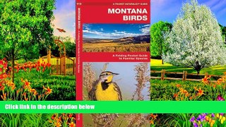 READ NOW  Montana Birds: A Folding Pocket Guide to Familiar Species (Pocket Naturalist Guide