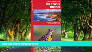 READ NOW  Oregon Birds: A Folding Pocket Guide to Familiar Species (Pocket Naturalist Guide