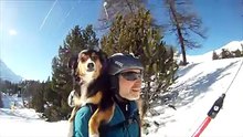 Homem aventura-se na neve com o seu cão que adora esqui